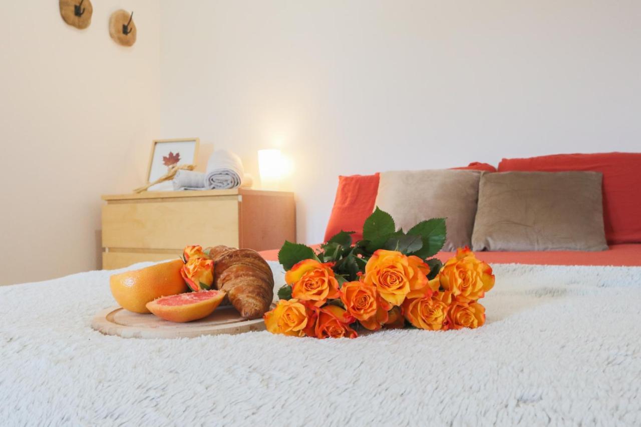 Apartmán Le Cocon, Paisible & Doux Wahlbach Exteriér fotografie